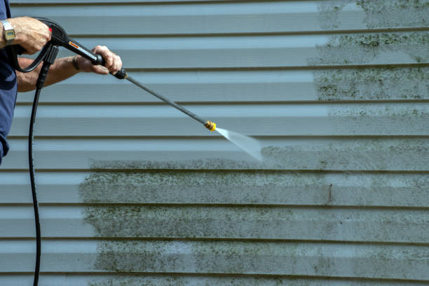 Best Gutter Cleaning  in Burney, CA